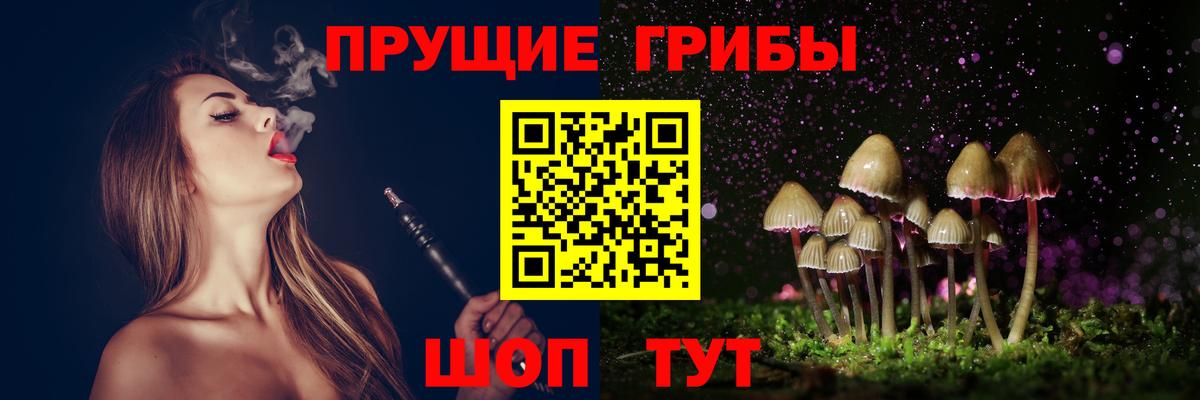 Псилоцибиновые грибы Cubensis  Вход с VPN  Богородск 