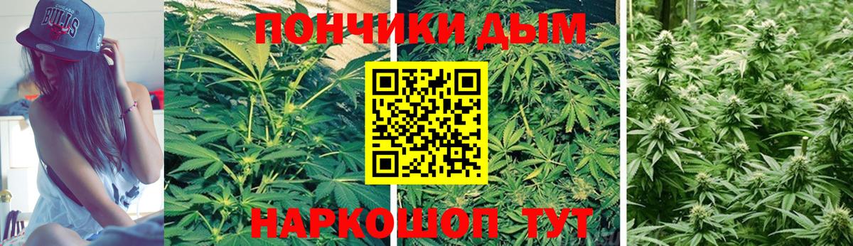 Конопля семена  Бошки марихуана план  Богородск  Каннабис семена  Вход с VPN 